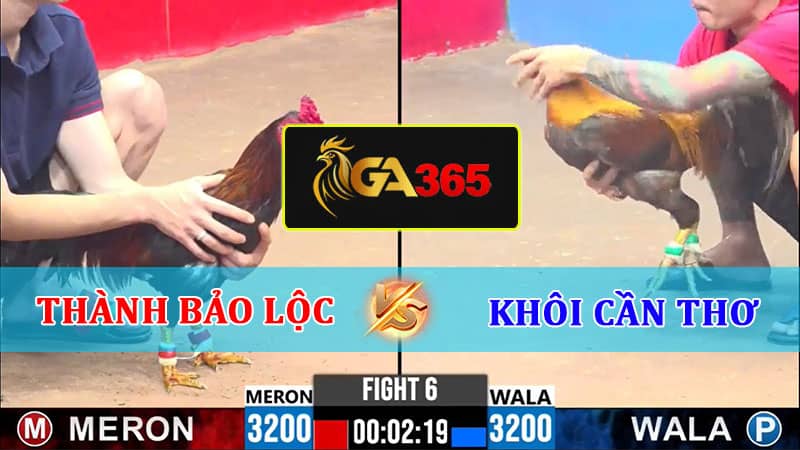 TRẬN 6 CPC3 11/2/2025 THÀNH BẢO LỘC VS KHÔI CẦN THƠ - GA365