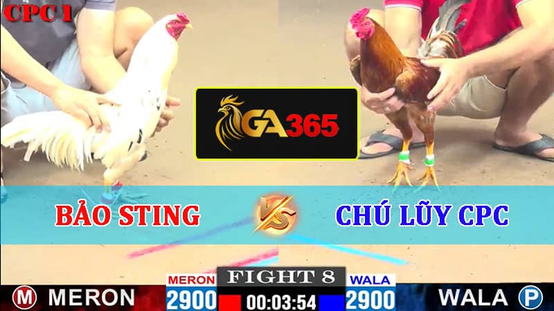 TRẬN 8 CPC1 22/02/2025 BẢO STING VS CHÚ LŨY CAMPUCHIA