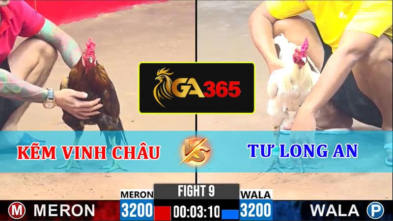 TRẬN 9 CPC3 11/2/2025 KẼM VINH CHÂU VS TƯ LONG AN - GA365
