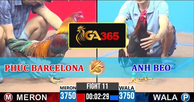 TRẬN 11 CPC3 8/3/2025 CHÚ PHÚC BARCELONA VS ANH BEO