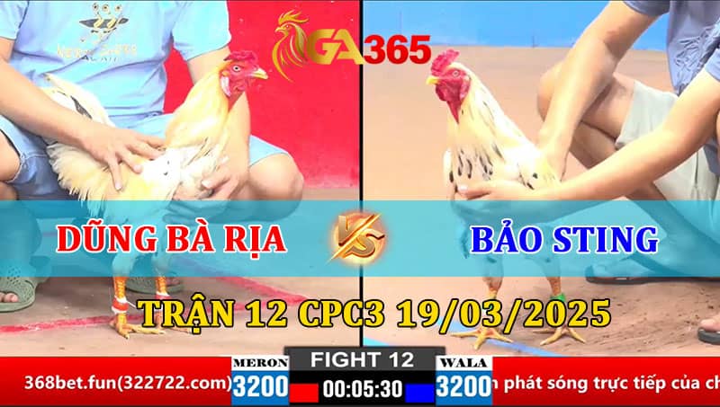 TRẬN 12 CPC2 21/3/2025 DŨNG BÀ RỊA VS BẢO STING