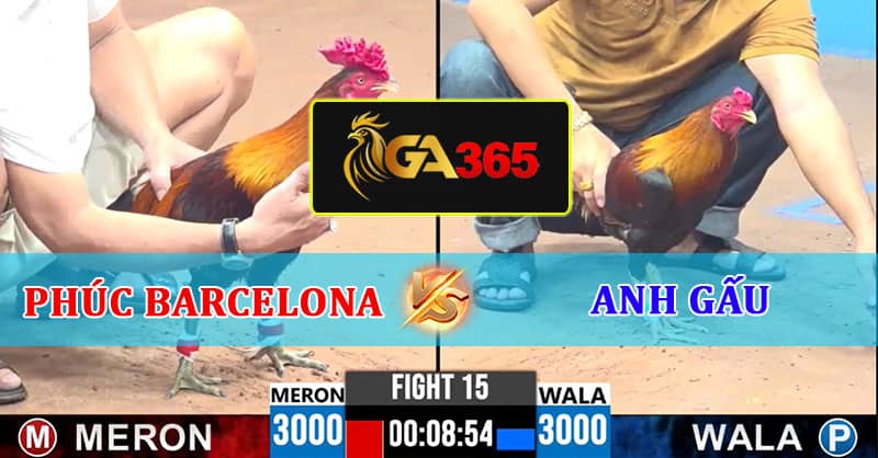 TRẬN 15 CPC3 8/3/2025 CHÚ PHÚC BARCELONA VS ANH GẤU