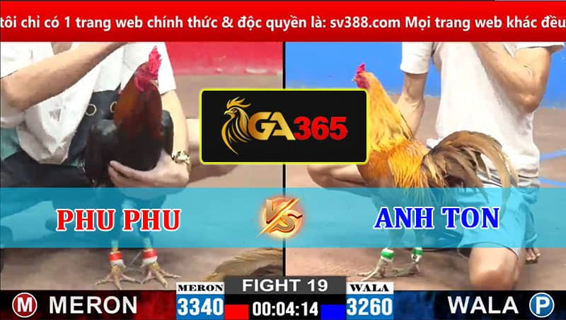 TRẬN 19 CPC2 2/3/2025 ANH PHU PHU VS ANH TON