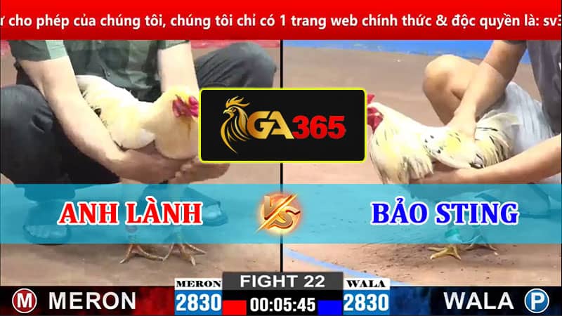 TRẬN 22 CPC2 2/3/2025 ANH LÀNH VS ANH BẢO STING