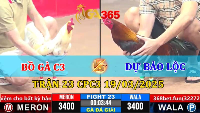 TRẬN 23 CPC3 19-03-2025 BỒ GÀ C3 VS DỰ BẢO LỘC
