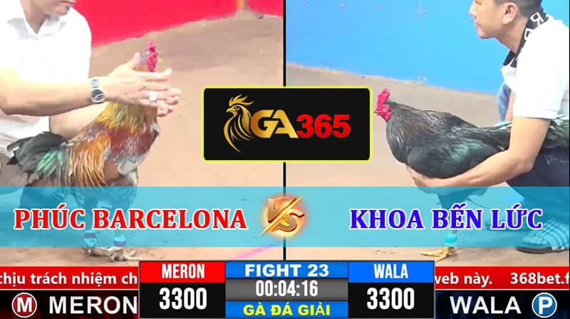 TRẬN 23 CPC3 8/3/2025 PHÚC BÌNH DƯƠNG B VS KHOA BẾN LỨC