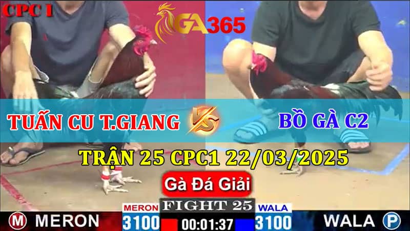 TRẬN 25 CPC1 22/3/2025 TUẤN CU TIỀN GIANG VS BỒ GÀ C2