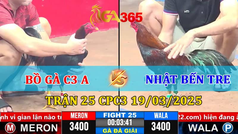 TRẬN 25 CPC3 19-03-2025 BỒ GÀ C3 A VS NHẬT BẾN TRE