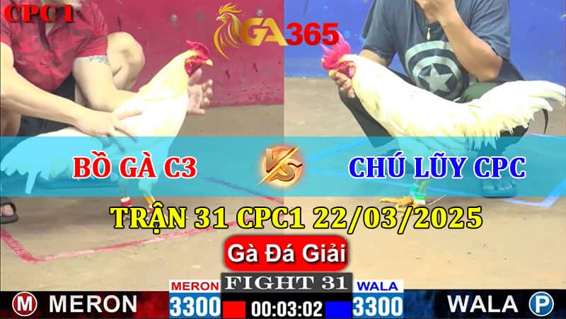 TRẬN 31 CPC1 22/3/2025 BỒ GÀ C3 VS CHÚ LŨY CAMPUCHIA