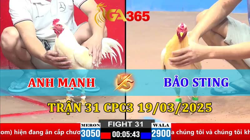 TRẬN 31 CPC2 21/3/2025 ANH MẠNH VS BẢO STING