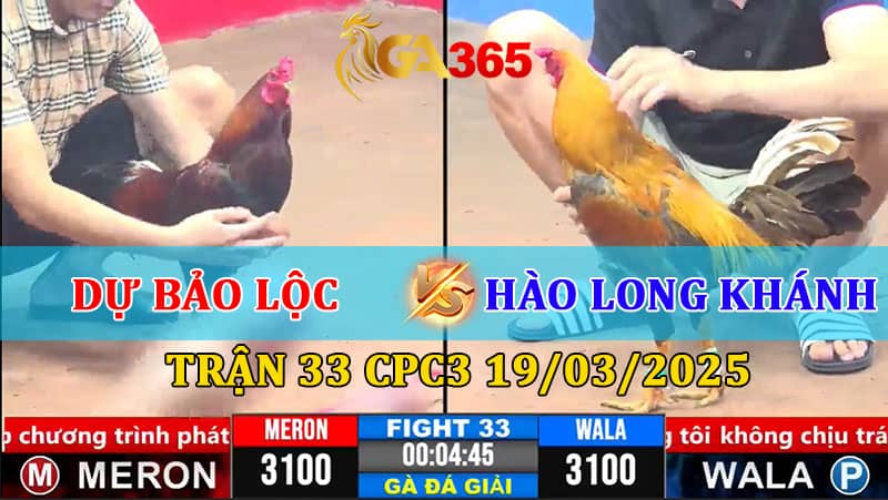 TRẬN 33 CPC3 19/3/2025 DỰ BẢO LỘC VS HÀO LONG KHÁNH