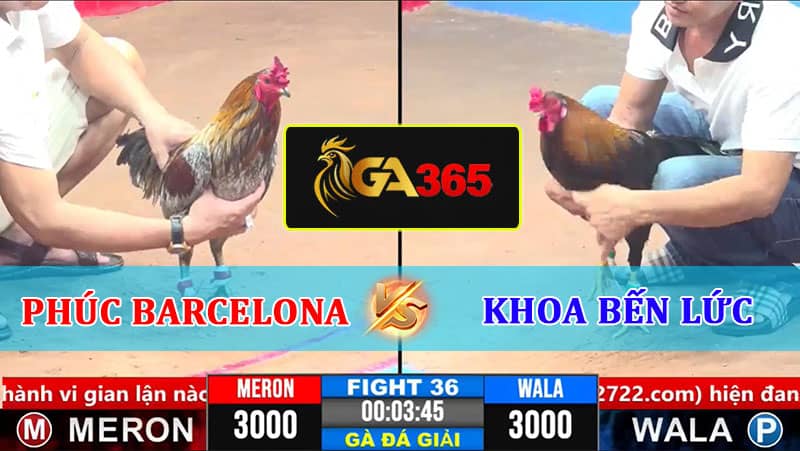 TRẬN 36 CPC3 8/3/2025 PHÚC BÌNH DƯƠNG VS HOA BẾN LỨC
