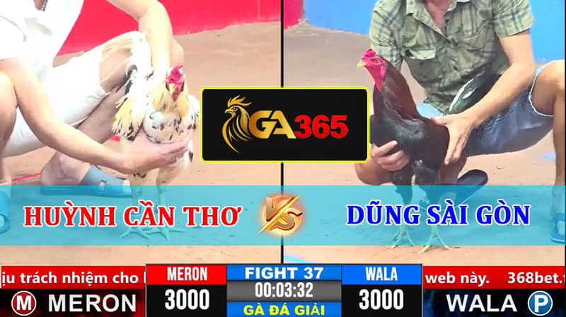 TRẬN 37 CPC3 8/3/2025 HUỲNH CẦN THƠ VS DŨNG SÀI GÒN