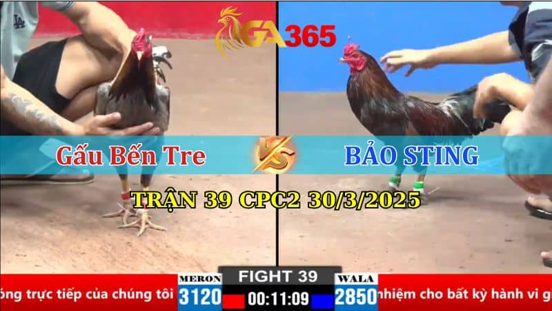 TRẬN 39 CPC2 30/3/2025