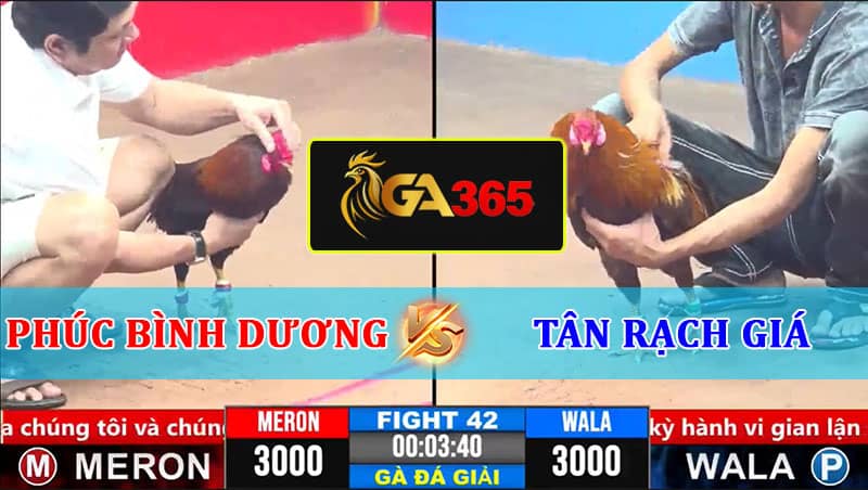 TRẬN 42 CPC3 8/3/2025 PHÚC BÌNH DƯƠNG A VS TÂN RẠCH GIÁ