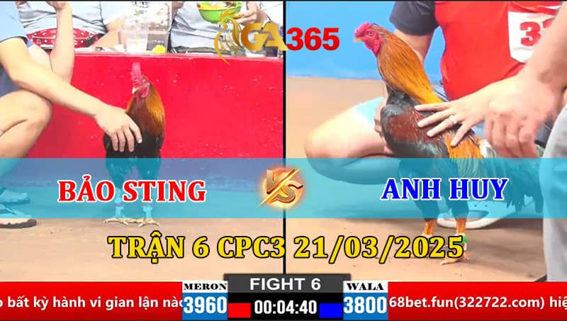 TRẬN 6 CPC2 21/3/2025 BẢO STING VS ANH HUY