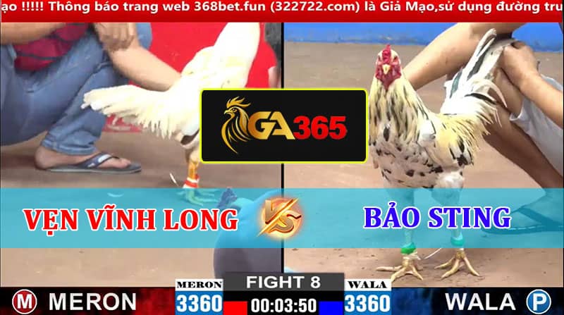 TRẬN 8 CPC2 2/3/2025 ANH VẸN VĨNH LONG VS ANH BẢO STING