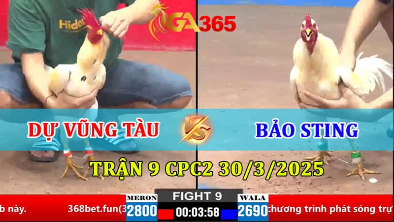 TRẬN 9 CPC2 30/3/2025