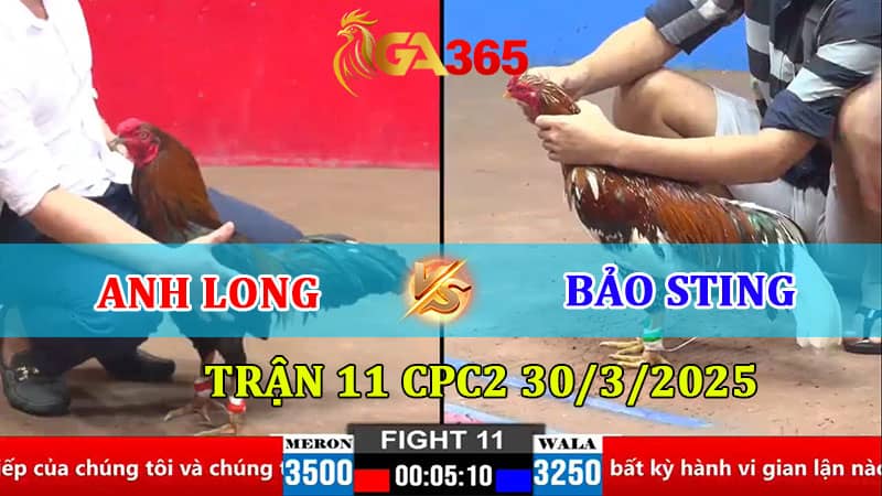 Trận 11 CPC2 30/3/2025