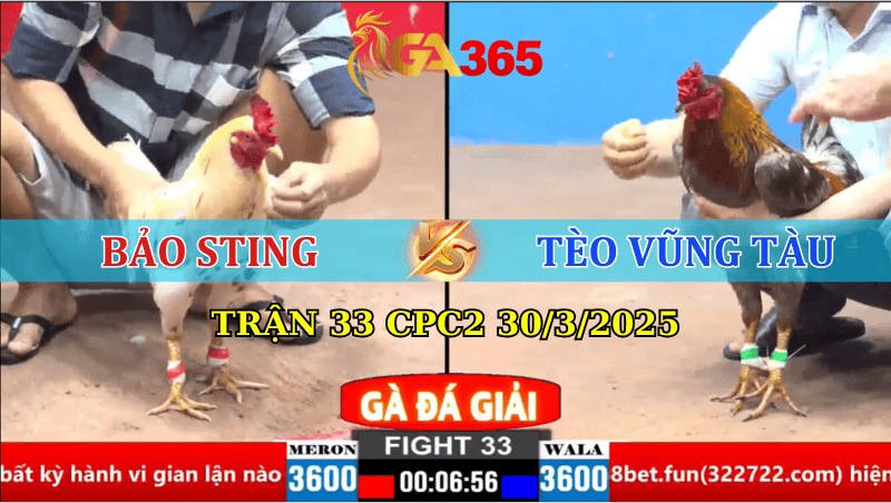 Trận 33 CPC2 30/3/2025:
