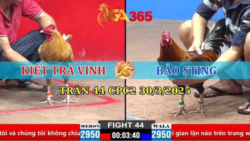 Trận 44 CPC2 30/3/2025