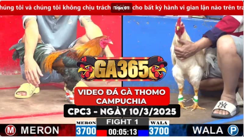 VIDEO ĐÁ GÀ THOMO CAMPUCHIA TẠI CPC3 NGÀY 10/3/2025