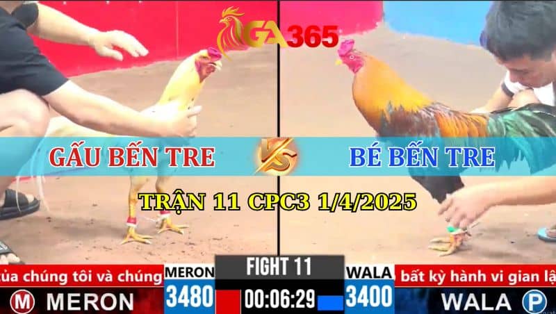 TRẬN 11 CPC3 1/4/2025