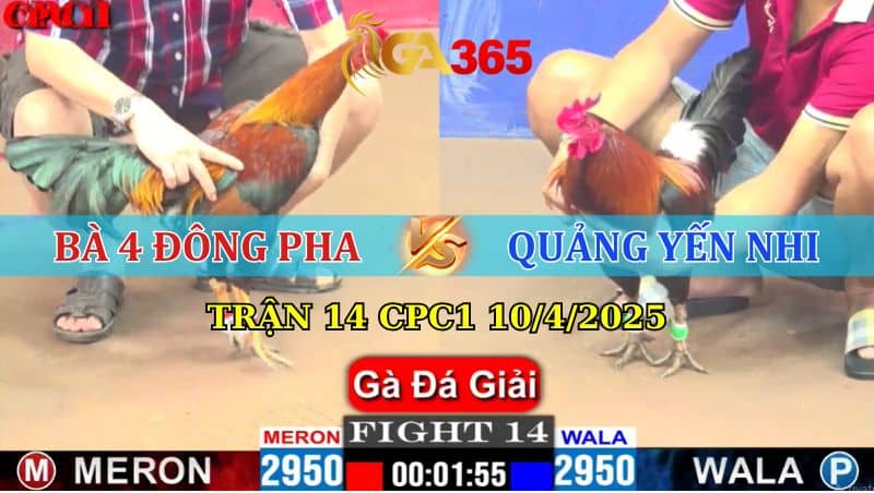 TRẬN 14 CPC1 10/4/2025