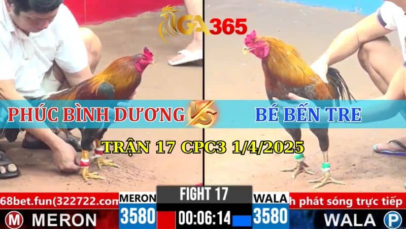 TRẬN 17 CPC3 1/4/2025