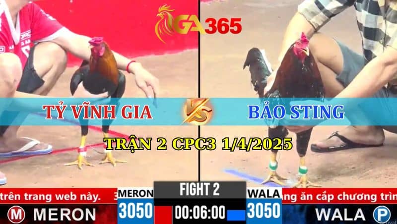 TRẬN 2 CPC3 1/4/2025