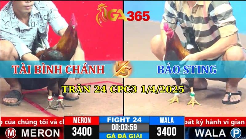 TRẬN 24 CPC3 1/4/2025