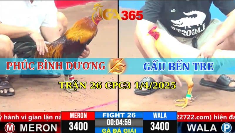 TRẬN 26 CPC3 1/4/2025