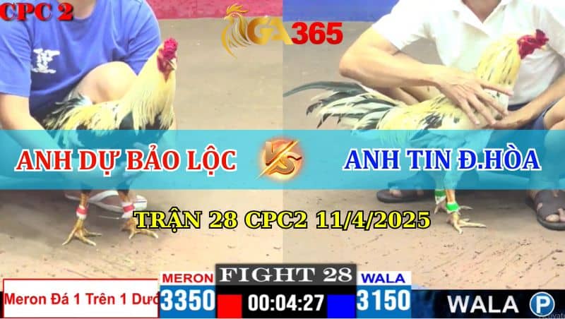 TRẬN 28 CPC3 11/4/2025