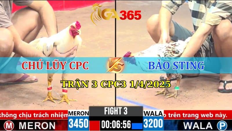 TRẬN 3 CPC3 1/4/2025