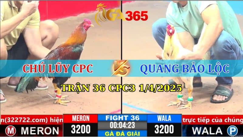 TRẬN 36 CPC3 1/4/2025