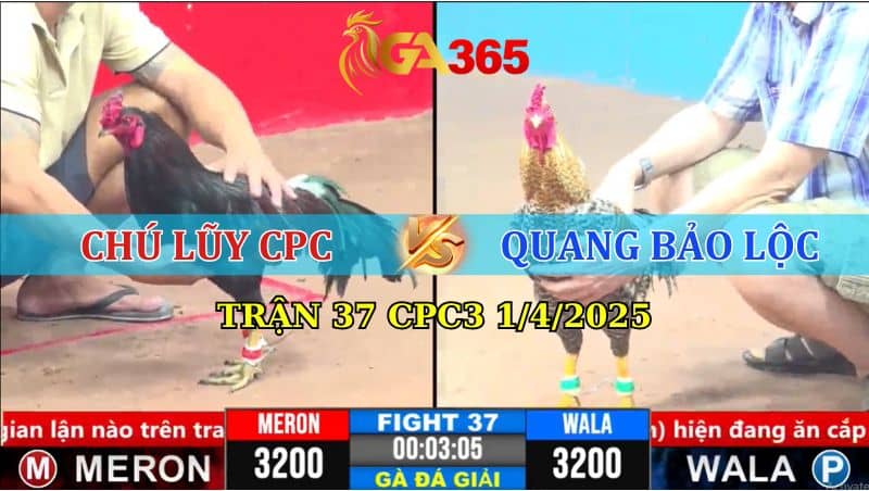 TRẬN 37 CPC3 1/4/2025