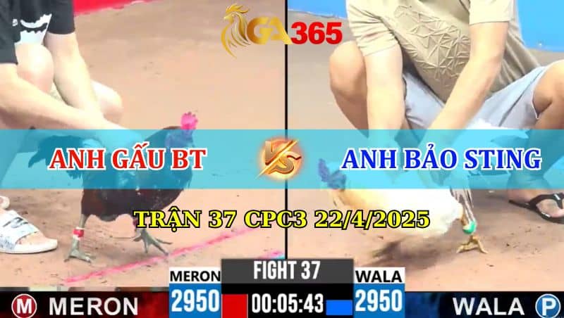 TRẬN 37 CPC3 22/4/2025