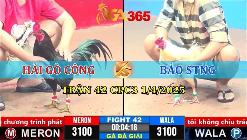 TRẬN 42 CPC3 1/4/2025