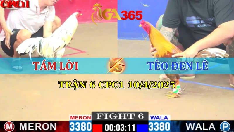 TRẬN 6 CPC1 10/4/2025