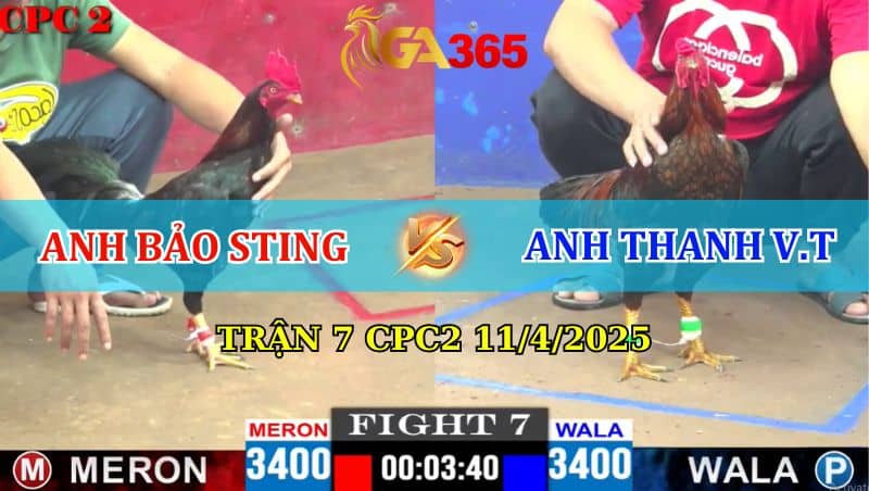 TRẬN 7 CPC2 11/4/2025
