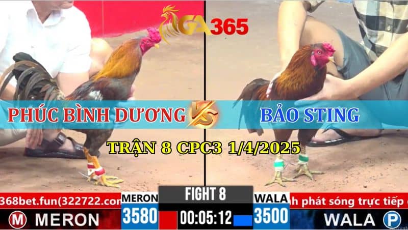 TRẬN 8 CPC3 1/4/2025