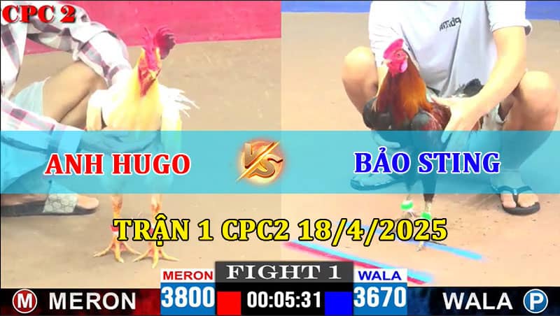 Trận 1 CPC2 18/4/2025 Anh Hugo Và Anh Bảo Sting