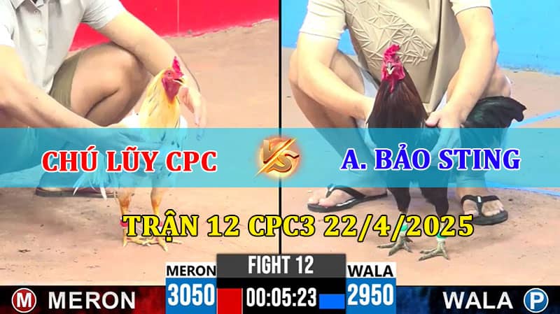 Trận 12 CPC3 22/4/2025 giữa Chú Lũy Campuchia và Bảo Sting