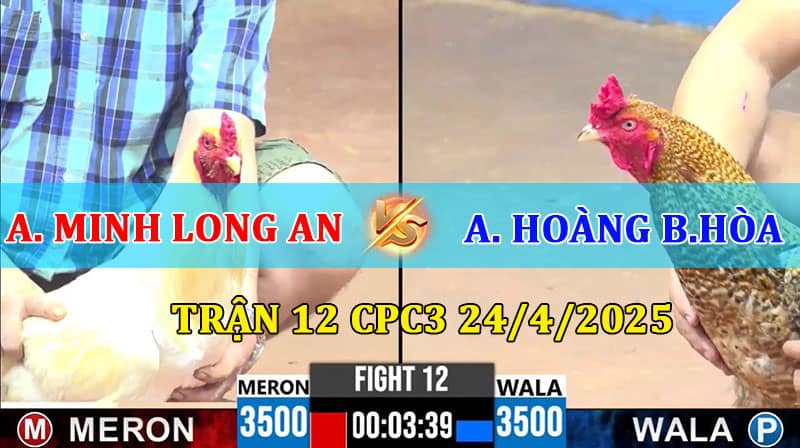 Trận 12 CPC3 24/4/2025