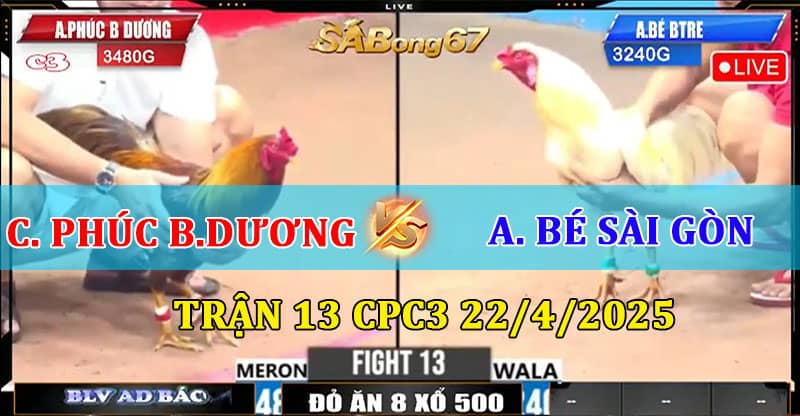 Trận 13 CPC3 22/4/2025 giữa Chú Phúc Bình Dương và Bé Bến Tre