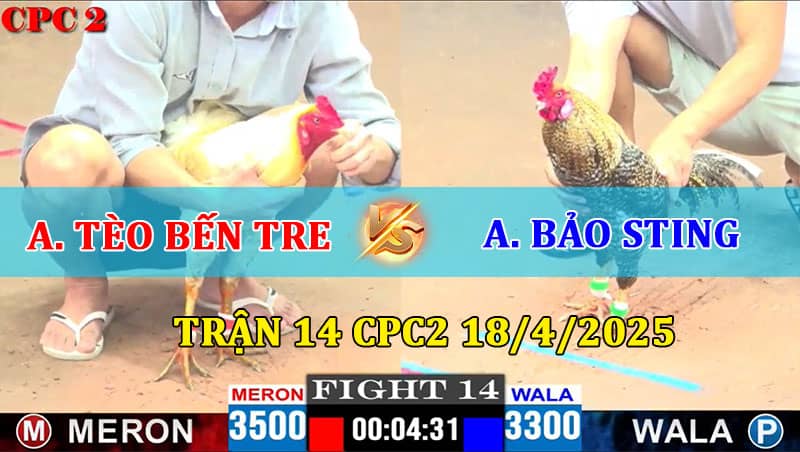Trận 14 CPC2 18/4/2025