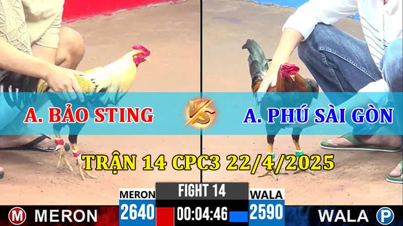 Trận 14 CPC3 22/4/2025 giữa Bảo Sting và Phú Sài Gòn