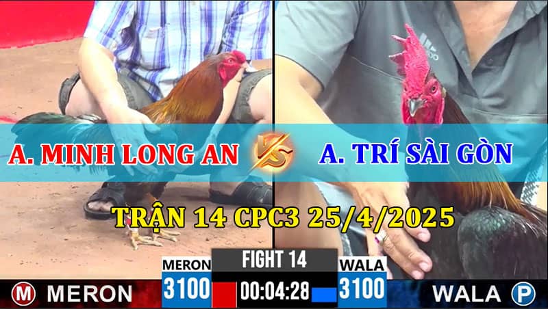 Trận 14 CPC3 25/4/2025