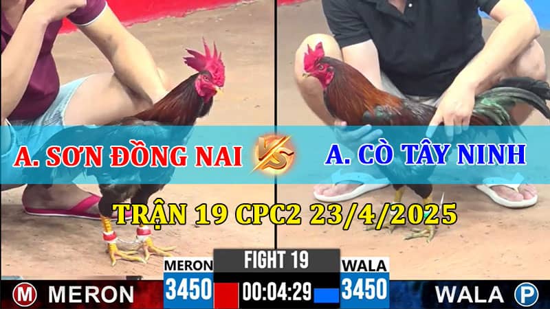 Trận 19 CPC3 23/4/2025