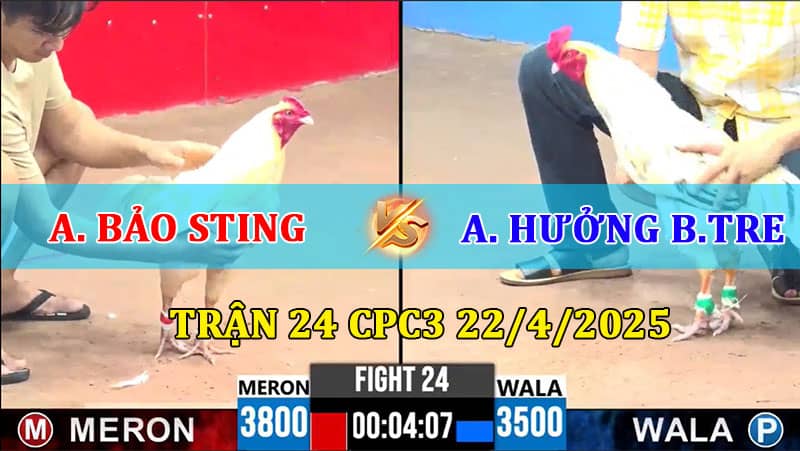 Trận 24 CPC3 22/4/2025 giữa Bảo Sting và Hưởng Bến Tre